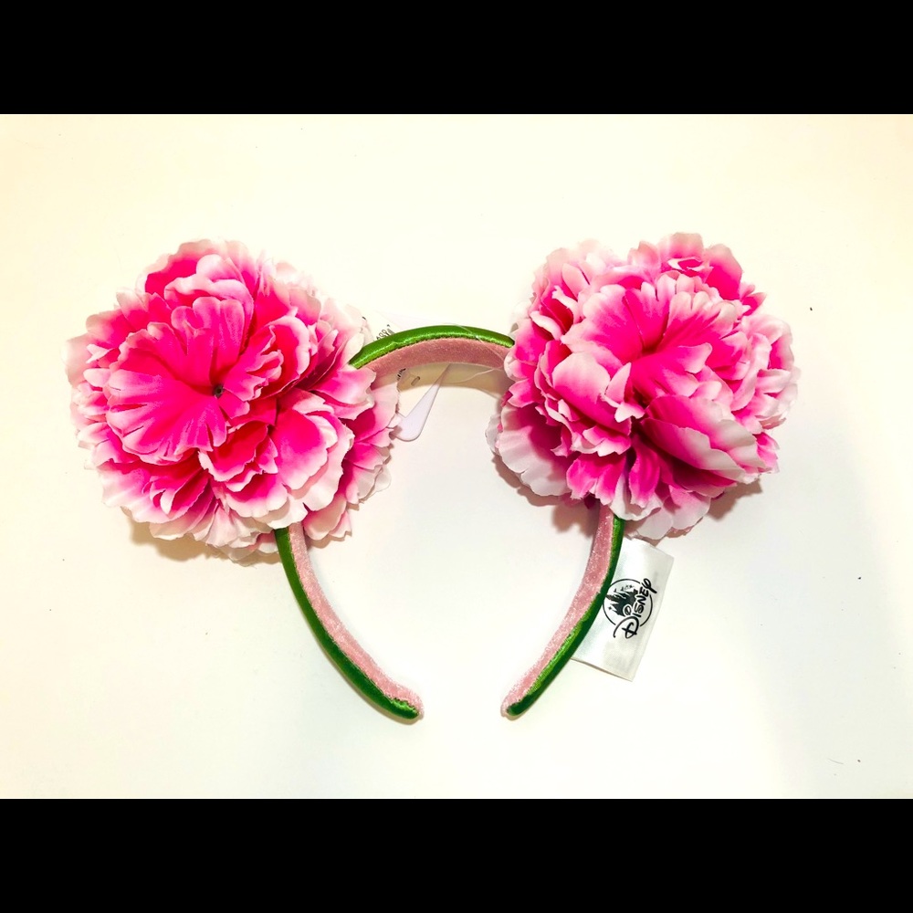 Disney Mickey Ears